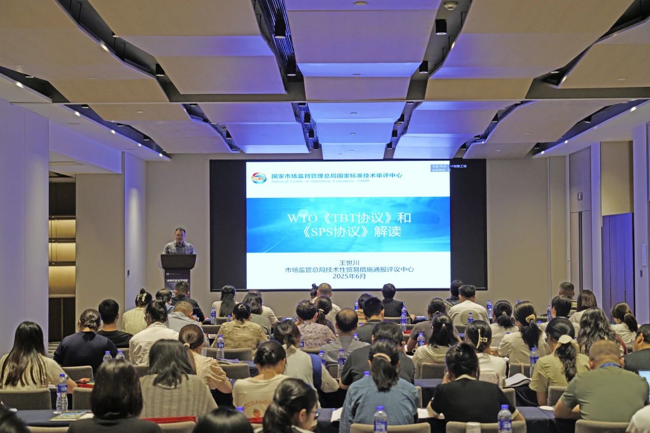 1751337197422982.jpg 7.jpg