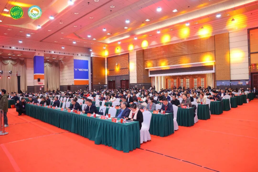 1768262459817344.png 图片4.png