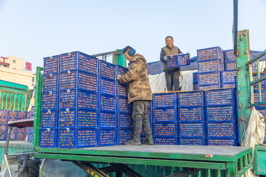 1772096426272700.png 图片1.png