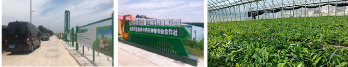 1784890161551363.png